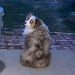 Meet your Posher, Mike